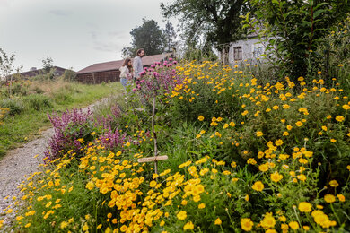 Mann und Kind spazieren im Permakulturgarten | © @titantina /Tina Vega-Wilson