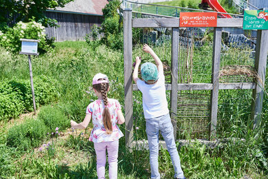 Kinder spielen beim Naturwebrahmen im Bio-Bengelchen Garten | © SONNENTOR /@nudlholz.at