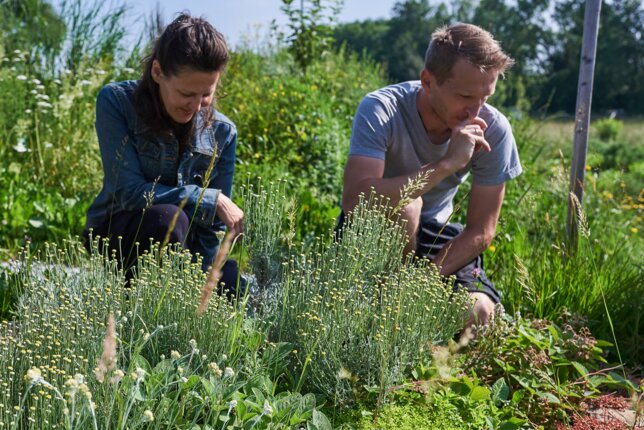 Gäste beim Erkunden des Permakultur-Garten | © SONNENTOR/@nudlholz.at