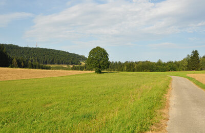 Aussicht Kräuterwanderweg | © SONNENTOR