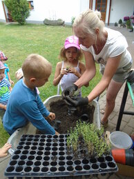 Unsere Sonnenscheinchen-Kinder beim Arbeiten auf dem Frei-Hof | © SONNENTOR