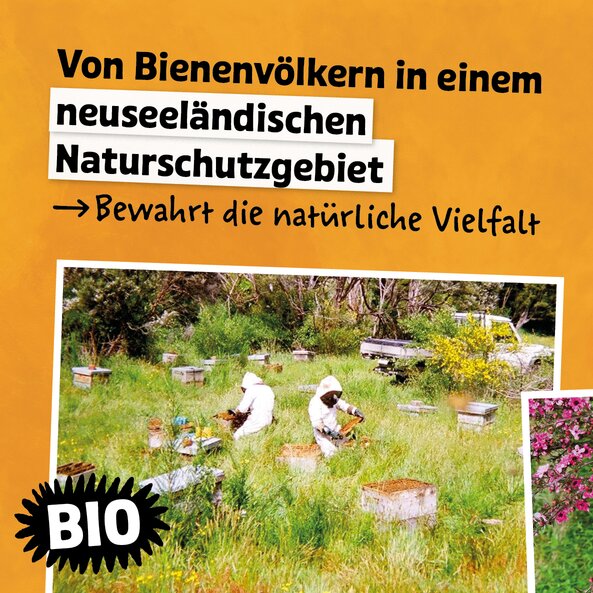 Arrangement with South Sea myrtle and photo of beekeepers on an orange background with the inscription: ‘From bee colonies in a New Zealand nature reserve – preserving natural diversity’.