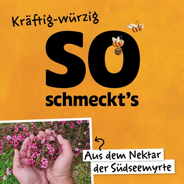 Illustration with bees and photo of South Sea myrtle on an orange background with the words: ‘That's how it tastes – strong and spicy’.