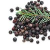 Wacholderbeeren bio