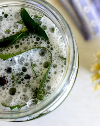 Auf dem Foto ist ein Glas mit Spülmittel und Efeu darin zu sehen. | © SONNENTOR