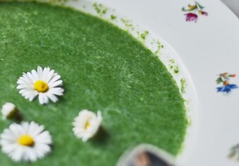 Auf dem Foto sieht man einen Suppenteller mit Wilde Kräutersuppe. Darin sind Gänseblümchen zu sehen. | © SONNENTOR