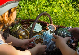 Auf dem Foto sieht man einen Picknick Korb. Man sieht zwei Kinder die den Korb ausräumen. | © SONNENTOR