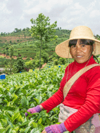 Photo of a woman in the field. | © SONNENTOR