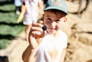 In the photo you can see a boy with a blackberry in his hand in the sunshine garden. | © SONNENTOR