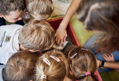 In the photo you can see how the children look into the worm compost. | © SONNENTOR