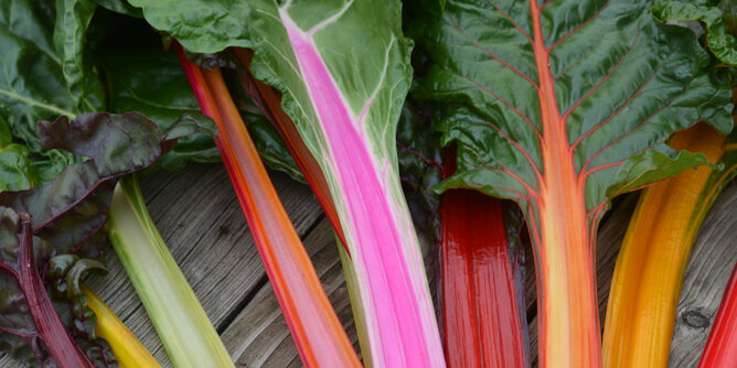 Photo of Sonnentor organic chard. | © SONNENTOR