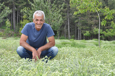 Auf dem Foto ist ein Bauer im griechischem Bergtee Feld zu sehen. | © SONNENTOR