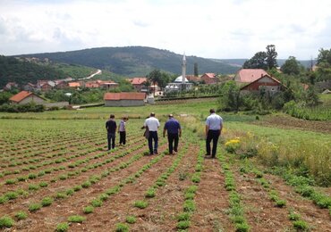 Auf dem Foto sieht man einige Personen die ein Feld hinunter gehen. | © SONNENTOR