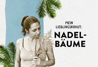 Das Bild zeigt Valerie Jarolim, die an einem Kräuter-Strauch riecht, zwischen Fichtenzweigen und den Schriftzug "Mein Lieblingskraut: Nadelbäume" | © SONNENTOR