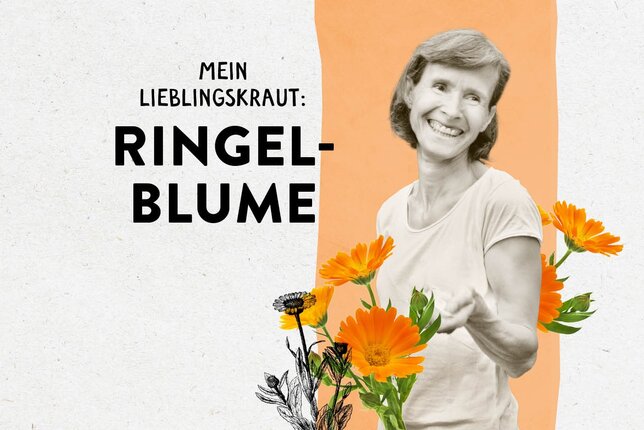 Das Bild zeigt Elisabeth Kainz zwischen Ringelblumen und den Schriftzug "Mein Lieblingskraut: Ringelblume" | © SONNENTOR