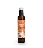 Pumpkin spice sirup bio balení