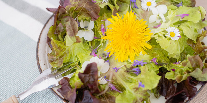 Auf dem Foto ist Blattsalat mit Löwenzahnblüten, Gänseblümchen und weiteren Blüten zu sehen. | © SONNENTOR