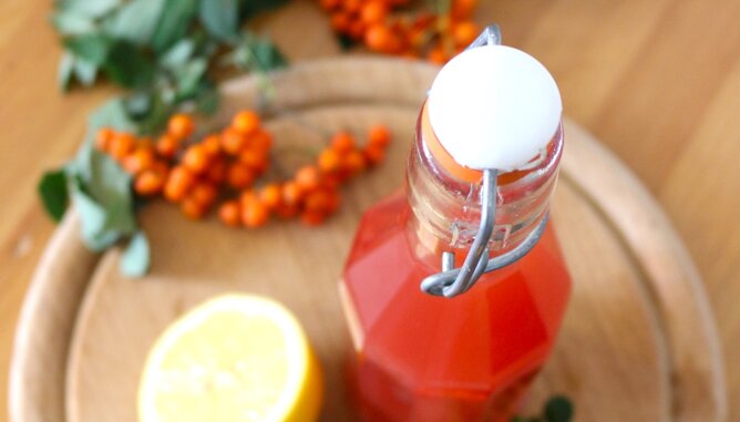 Auf dem Foto ist eine Flasche mit Vogelbeerensirup zu sehen. Daneben sind frische Vogelbeeren zu sehen. | © SONNENTOR