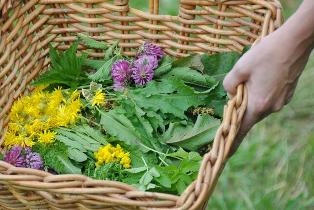 Outdoor Hacks mit Kräutern | © SONNENTOR