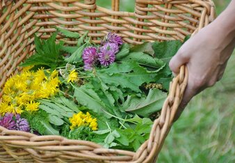 Outdoor Hacks mit Kräutern | © SONNENTOR